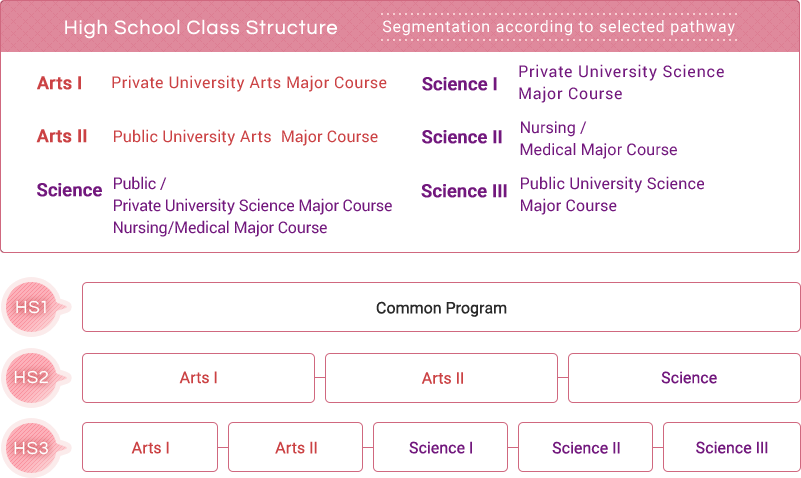 High School Class Structure   Segmentation according to selected pathway