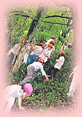 南公園緑地