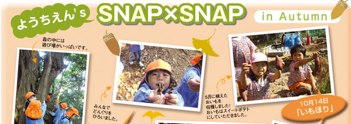 SNAP~SNAP/in Autumn