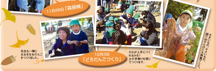 SNAP~SNAP/in Autumn